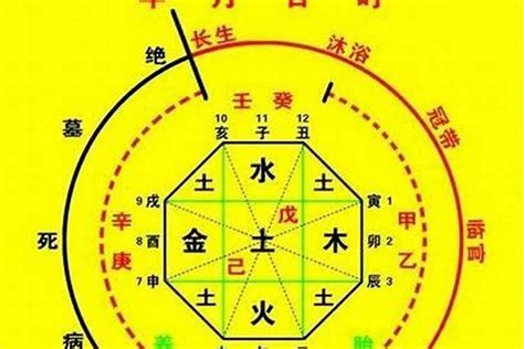 喜土命|如何看出八字喜土 (如何判断八字喜什么五行)